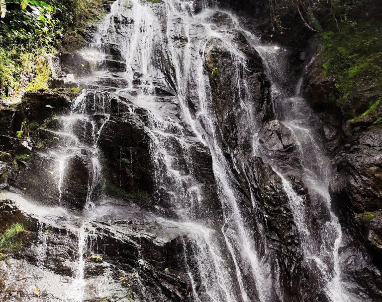 Ruta El Fierro en Anzoátegui Tolima, caminata suave junto al río y bosque nativo.