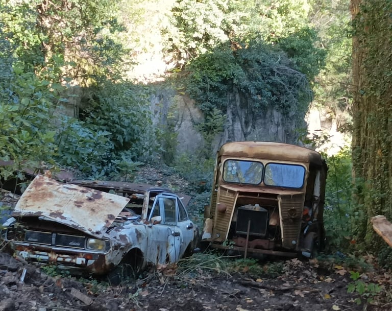 Abandoned