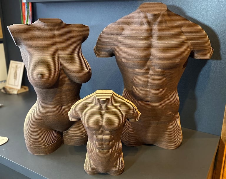 a display of a wooden sculpture of a torsoless torso