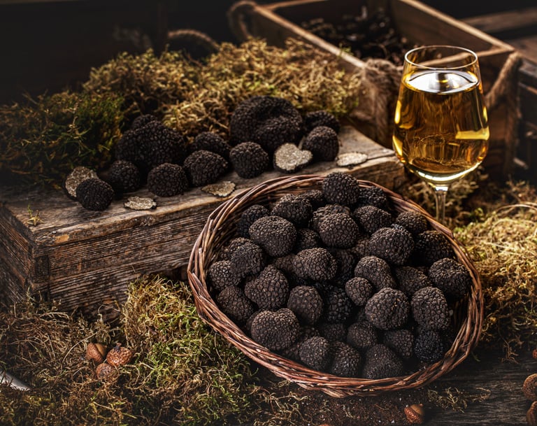 Les Truffes noires du Tricastin sont appréciées dans le monde et sont récoltée près du mas de l'Enclos du Soleil le Vent