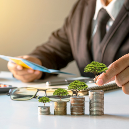 Person growing their wealth