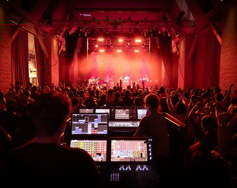 a man in a concert hall with a dj