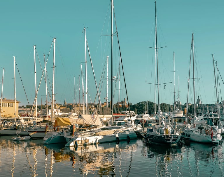 a bunch of boats are parked in a harbor