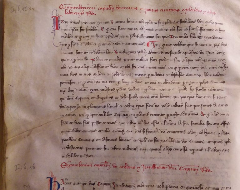 A page with abbreviated legal text from 1335 Bologna.