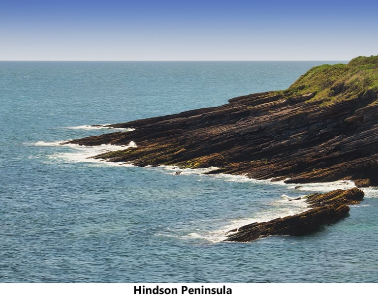 a cliff side with a view of the ocean hindson northumberland
