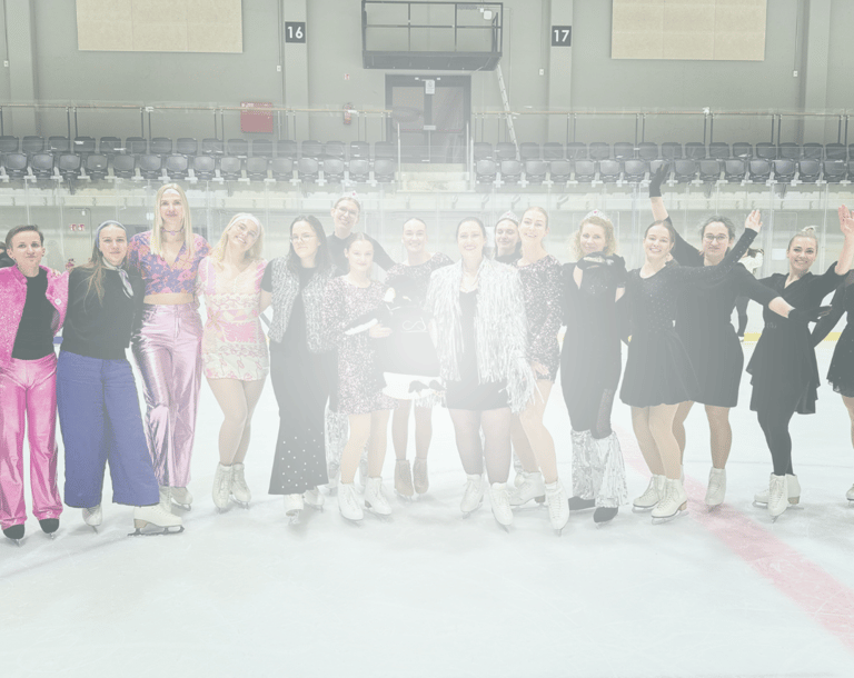 ledolink bendruomenės šventė