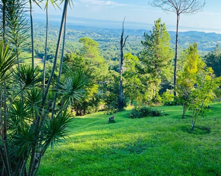 Invertir en Jarabacoa