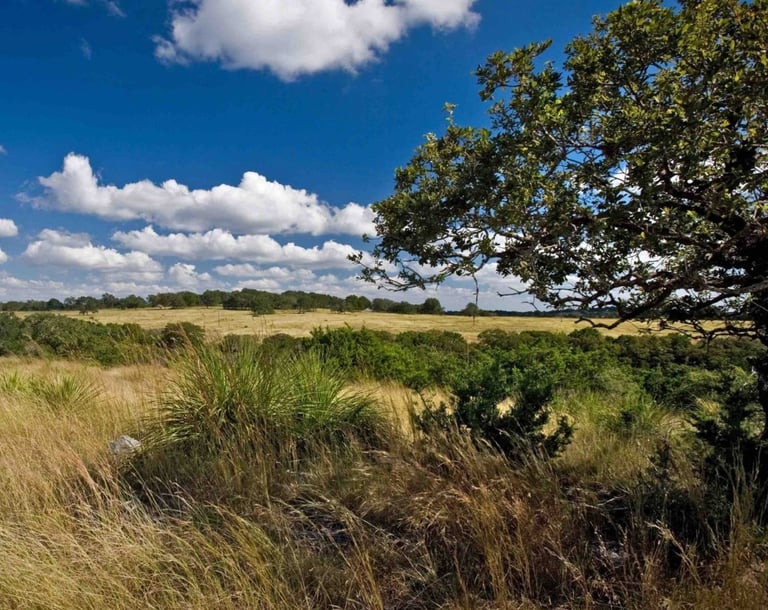 country side land for sale in Texas near me San Antonio