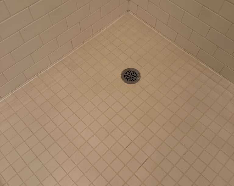 shower floor regrout finish