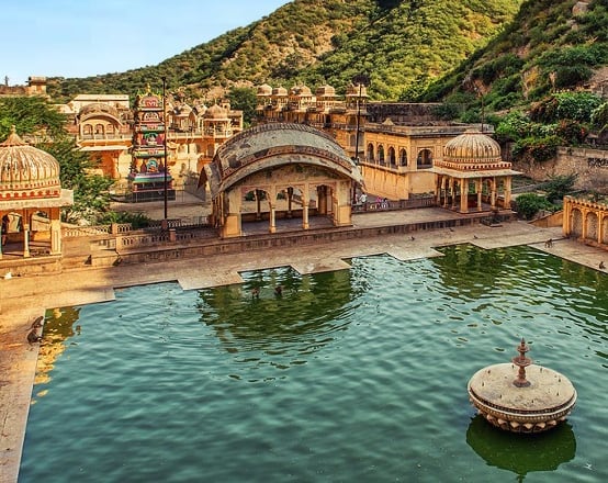 Monkey temple jaipur