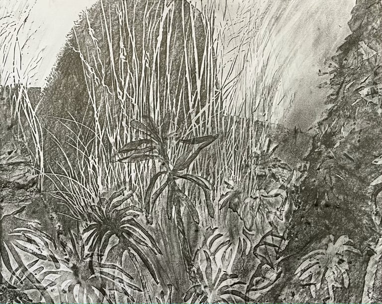 Peacock Garden graphite imprint