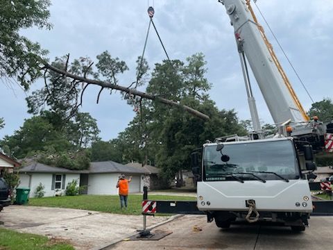 Crane removing a tree from a house