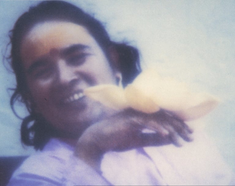 Shri Babaji Mahavatar