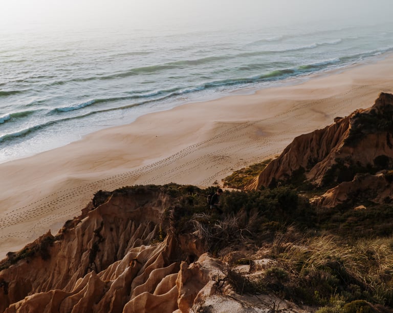 neautral toned cliff overlooking a calm beach demonstrating the link between nature and joy