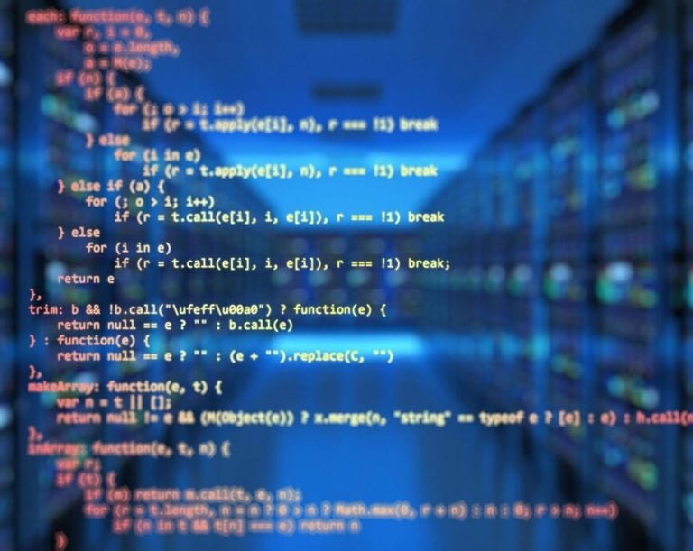 Programming club Excel tutors