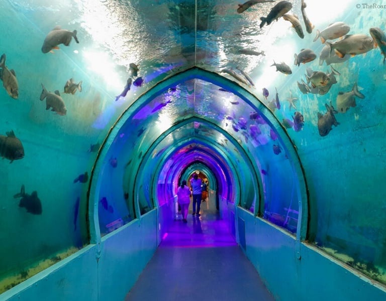 Mysuru Underwater Aquarium