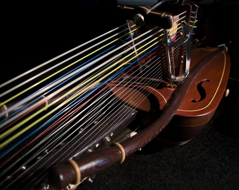 Gros plan sur les cordes de la kora chromatique Jazzy-kora