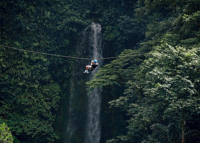 A person ziplining through a lush tropical rainforest canopy past a scenic tall waterfall.
