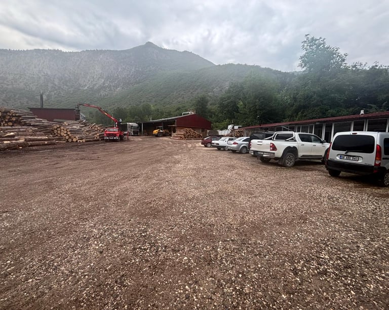 Karanlıkmeşe Kerestecilik - Artvin Ardanuç uygun fiyatlı kaliteli kereste ve lambiri çeşitleri