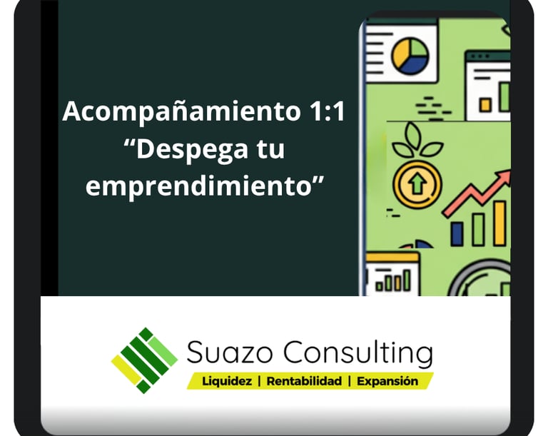 Ilustración de asesoría 1:1 para emprendedores con íconos de calendario, finanzas, estrategia y mkt