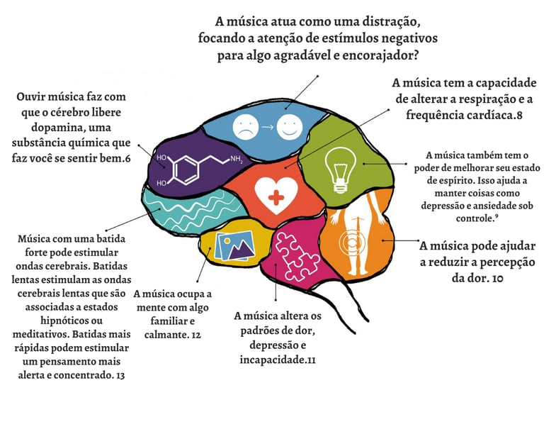 Visual image of the study with an explanation of the study.