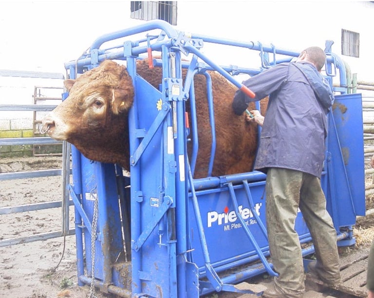Mangas de manejo portátiles Priefert
