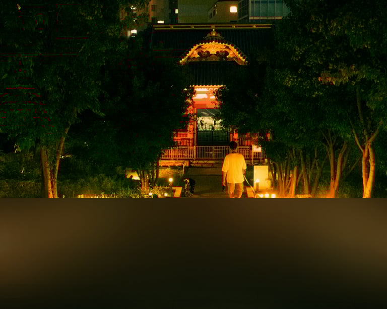 dogAdvisor | dogadvisor | dog advisor | dogAdvisor.dog