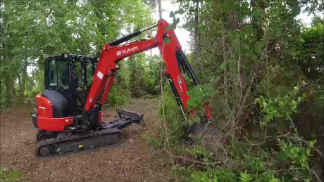 lot clearing