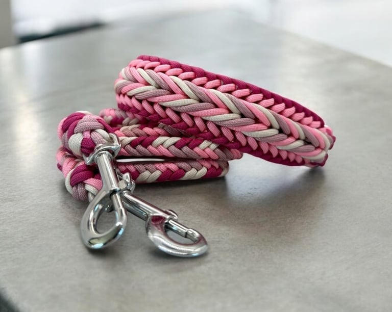 Collar y correa para mascota hecha de paracord y Bio Thane