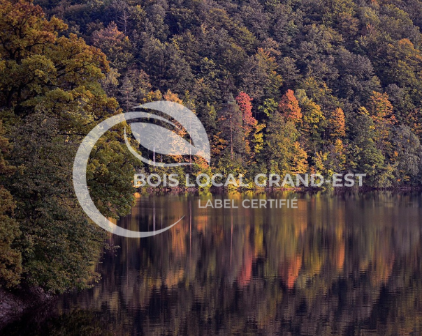 un lac avec des arbres qui reflètent sur l'eau
