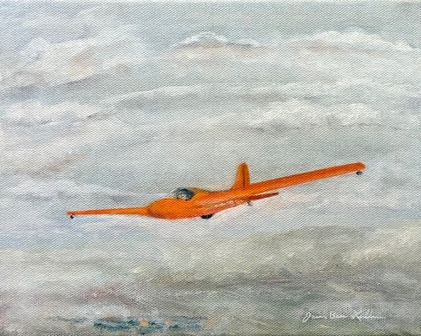 Schweizer SGS-1-26 E 20.32 x 25.4 cm  Oil on canvas