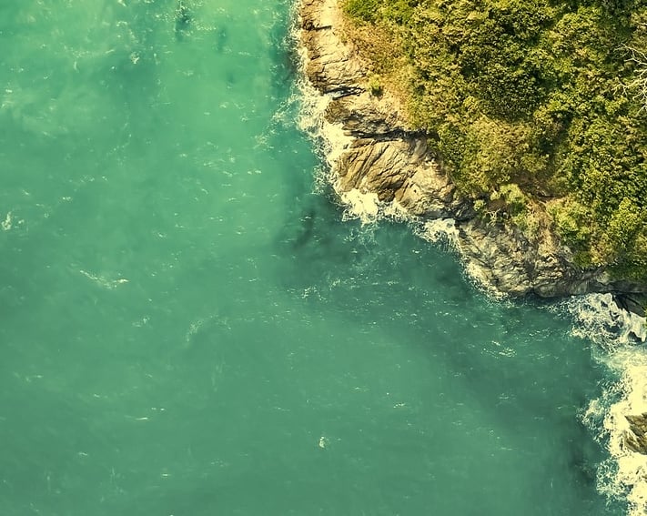 Coastal water appearing green due to algae and dissolved organic matter in sunlight