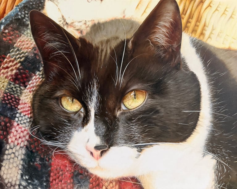 peinture animalière d'un chat