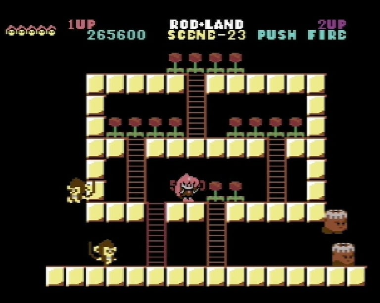 Commodore 64 Rodland Rit