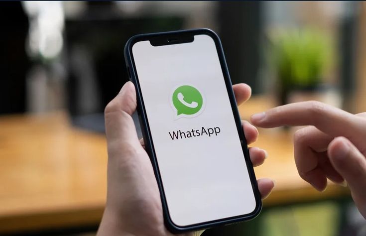 wappx.in WhatsApp