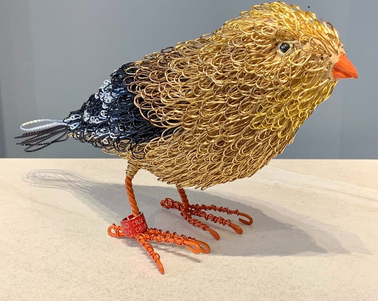 MRS G. FINCH - pine and plated wire by Guy Cranston