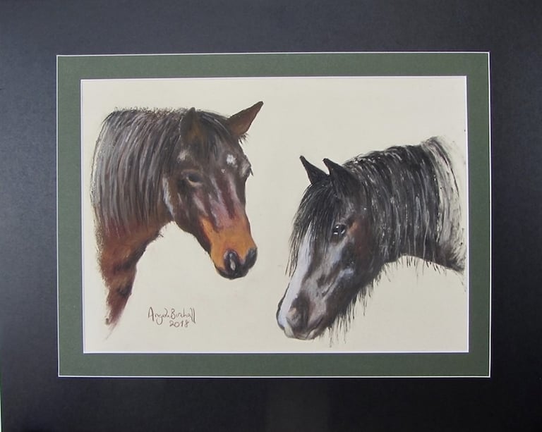 Commissioned double portrait of two horses, taken from owner's photograph, drawn in soft pastel