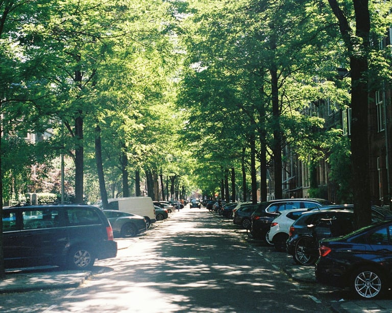 Broadway–Slavic Village street in Cleveland with older homes sellers often transition out of.