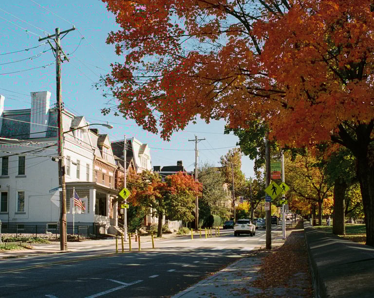 Tree-lined Cleveland street in South Collinwood — typical of homes sellers transition out of.