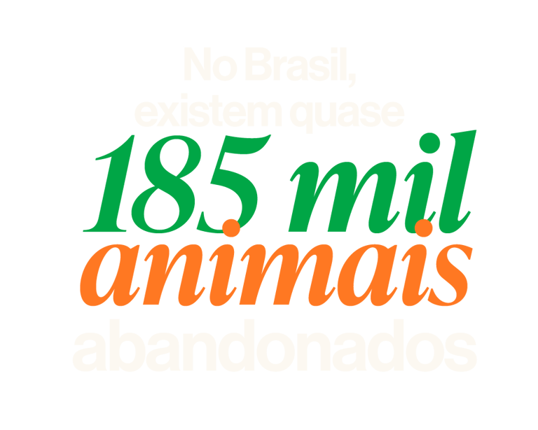 No Brasil, existem 185 mil animais abandonados