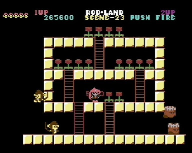 Commodore 64 Rodland Rit