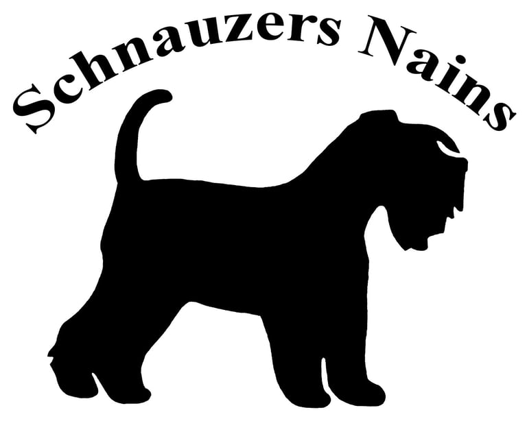 Logo d'un élevage de Schnauzer