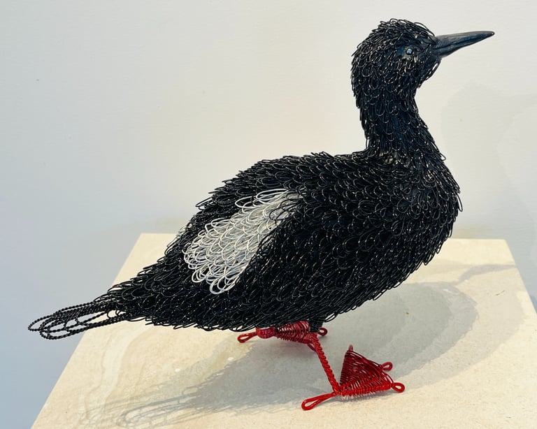 GULLIARMO - pine and plated wire by Guy Cranston