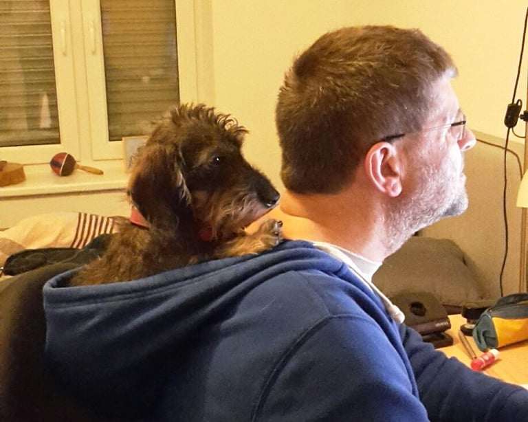 Martin und Zwergdackel Paul erledigen Büroarbeit.