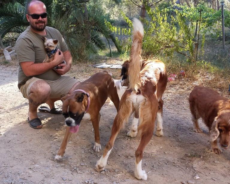 Guardería de día para perros