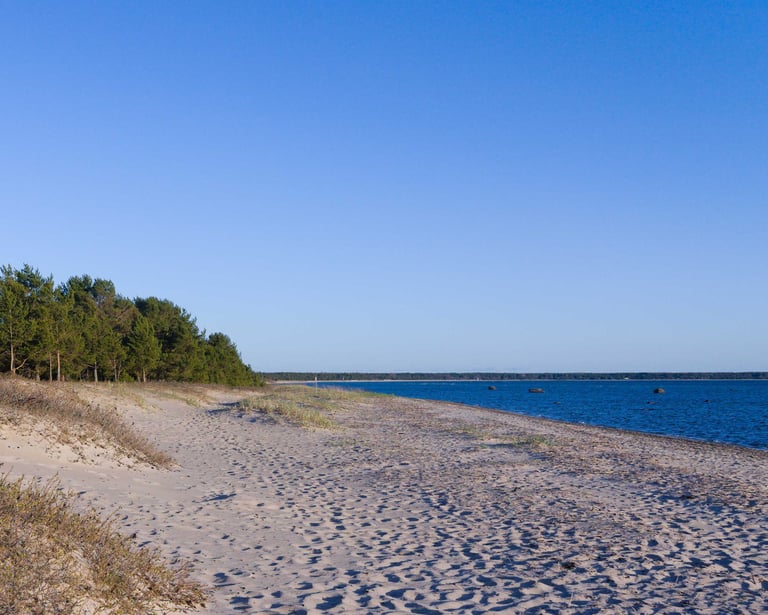 Ostsee Strand Estland