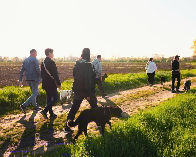 Hundetrainer Basti Matern begleitet Mensch-Hund-Teams beim entspannten Social Walk in Merseburg.