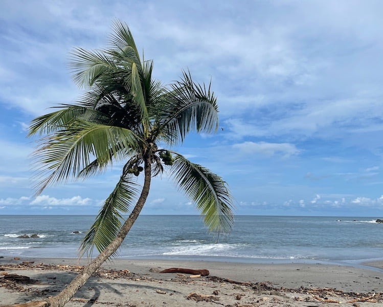 Strand Montezuma Costa Rica Annerschtwo