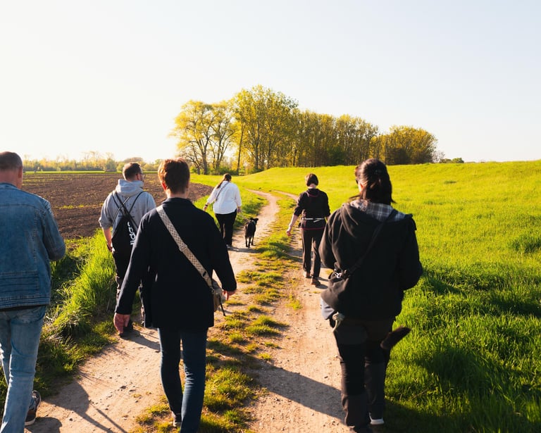 Geführter Gruppenspaziergang mit Hunden in Merseburg – Social Walk von Basti Matern Hundetraining.