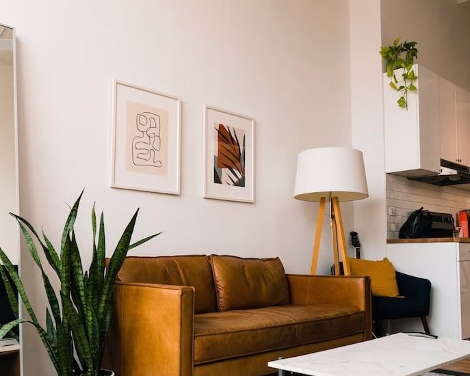 pièces à vivre organisée living room